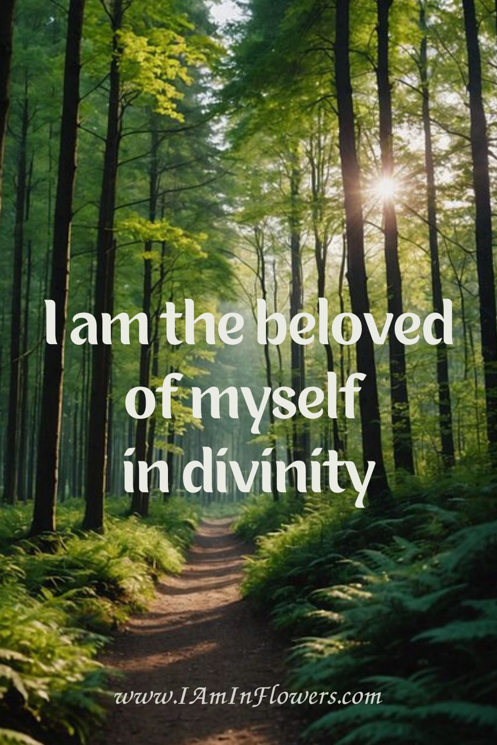 Affirmation for disconnection