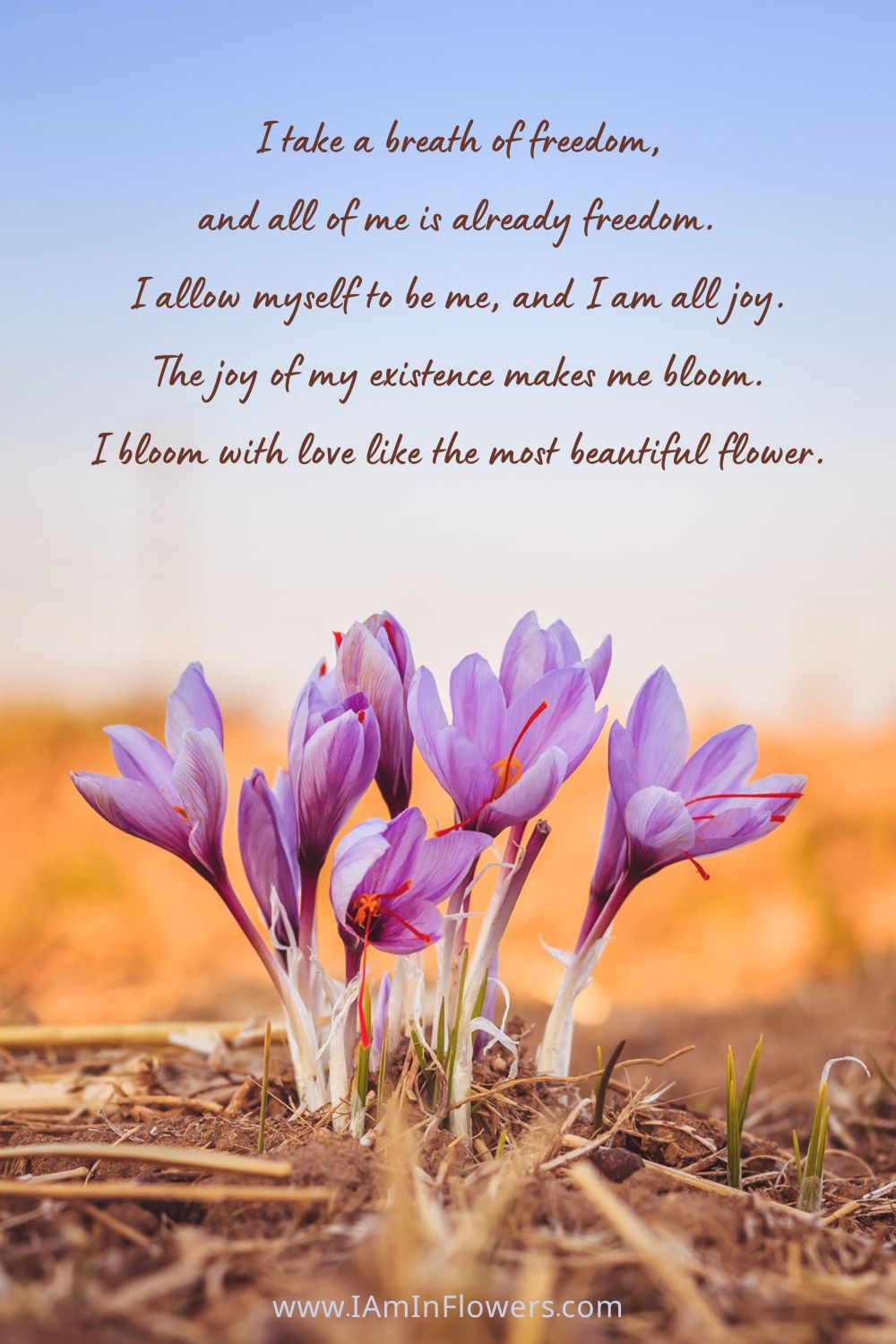 Affirmation for undeserving feelings