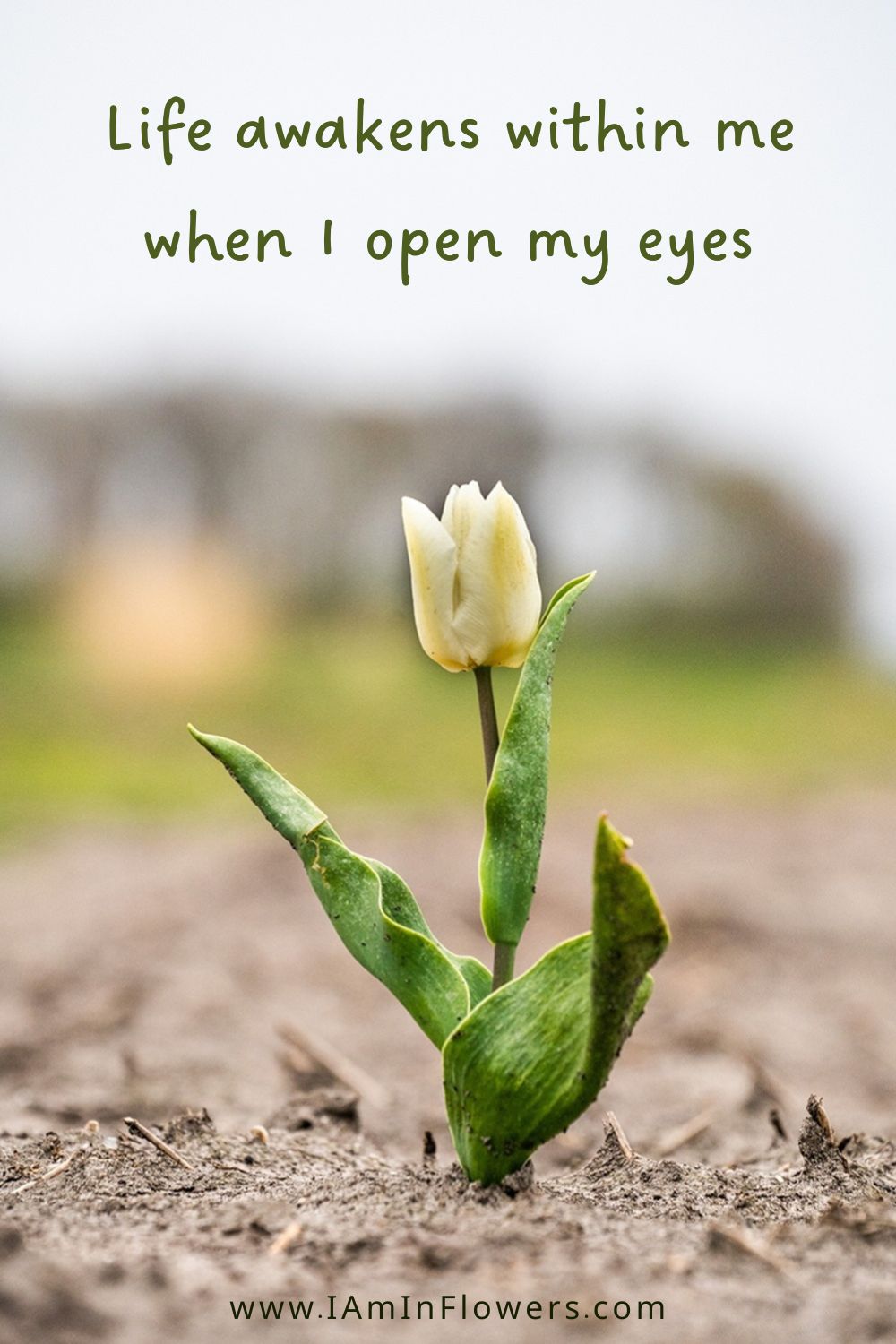 Affirmation for loneliness