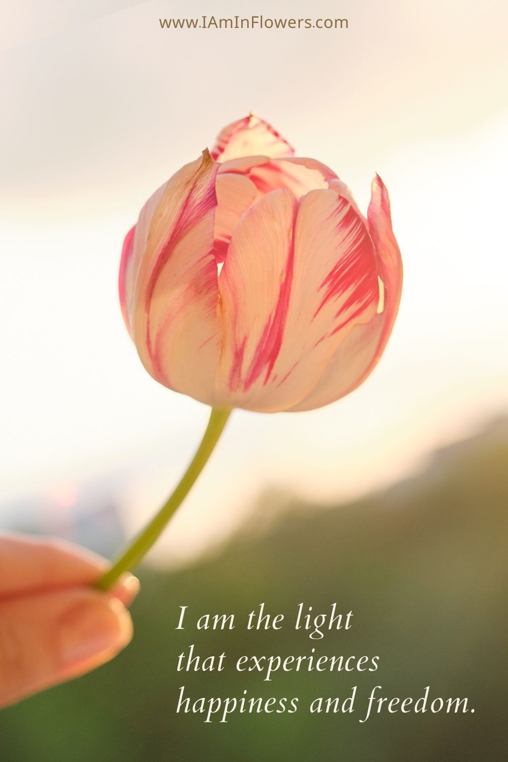 Affirmation For Feeling Embarrassed